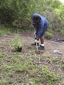Clearing the weeds